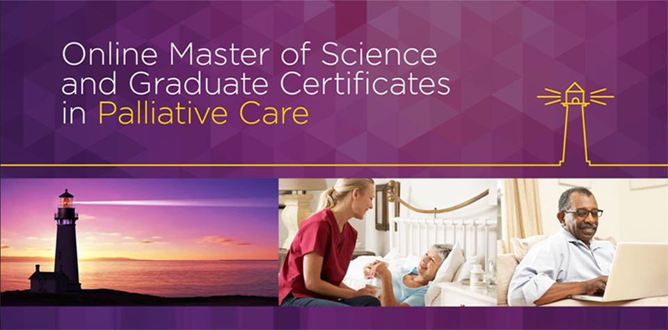 School of Pharmacy Launches New, Online Graduate Program in Palliative Care