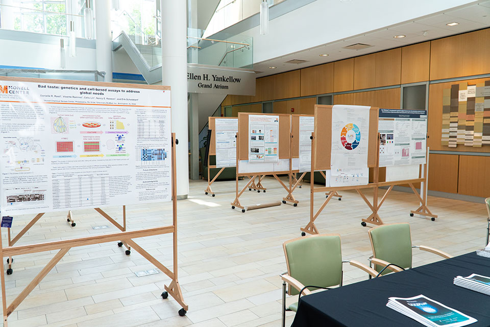Posters displayed for poster session during 