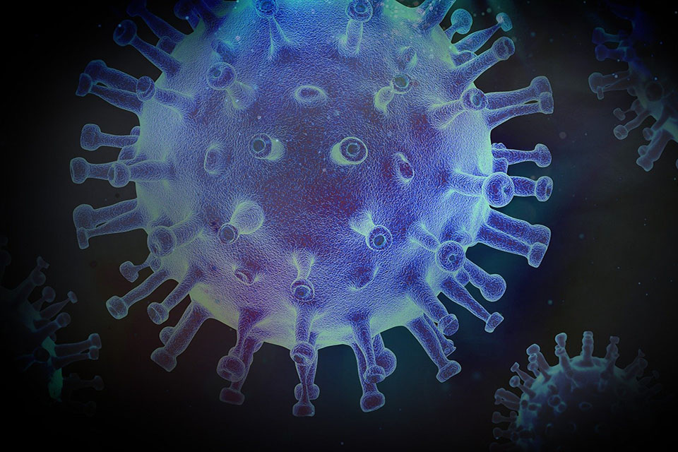 Microscopic image of COVID-19 virus.