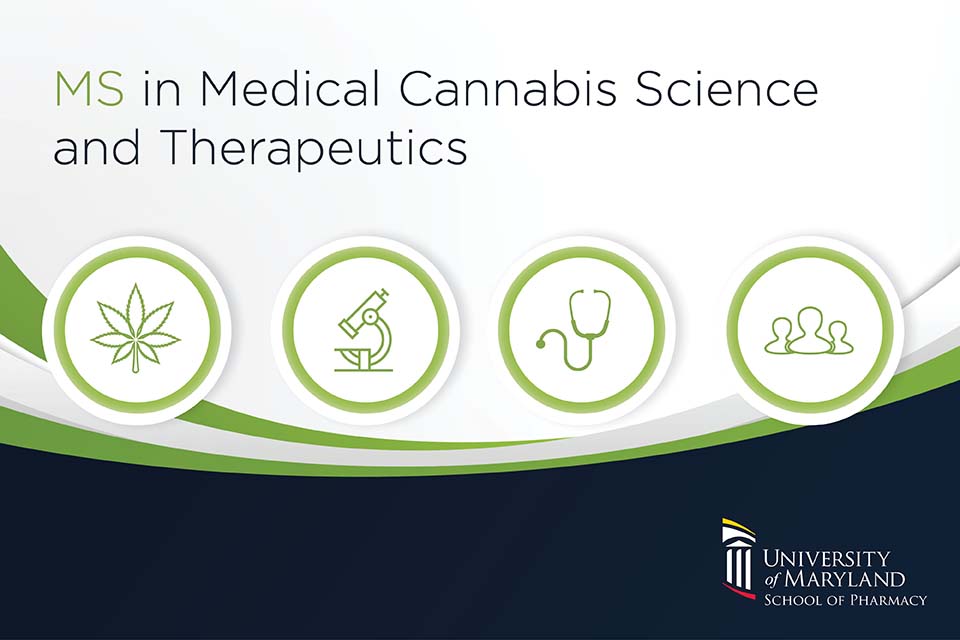 Four green icons representing a leaf, microscope, stethoscope, and people. These represent the M-S in Medical Cannabis Science and Therapeutics program..