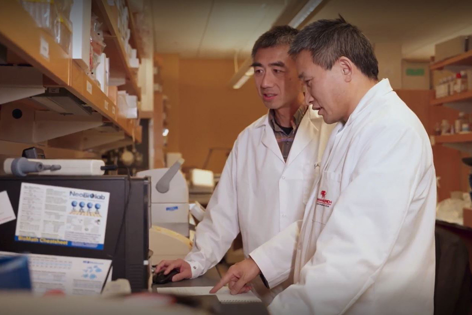 Fengtian Xue and Yan Shu work in a lab.