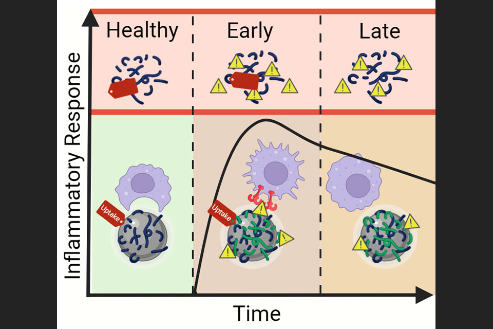 Graphical abstract from a Nature Communications article, showing a complex molecular structure with color-coded elements, representing a breakthrough in pharmaceutical research.